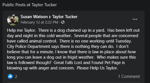 Help Me Taylor: Google algorithm leading to confusion when contacting GF Animal Control